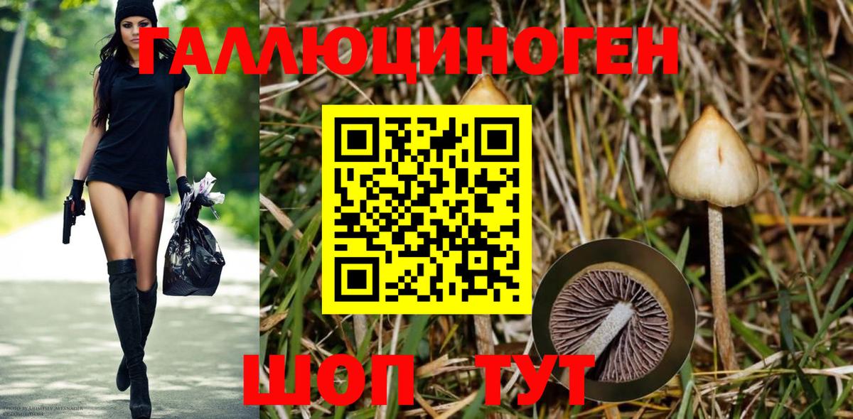 Галлюциногенные грибы MAGIC MUSHROOMS  Вход с VPN  Псилоцибиновые грибы Magic Shrooms  Будённовск 